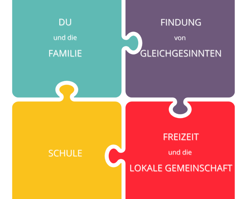 PY Puzzle Aktiveumsetzung